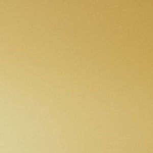 Meet your Posher, Alejandro